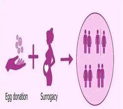 Pene surrogacy and fertility agency 
