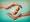 Pene surrogacy and fertility agency 