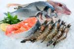 INFERTILITY LINKED TO MERCURY IN SEAFOOD