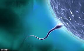 Sperm donor LAhore