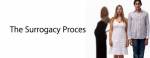 Surrogacy Process