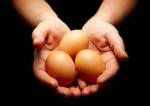 10 Things you should know about Egg Donation