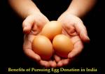 Benefits of Pursuing Egg Donation in India