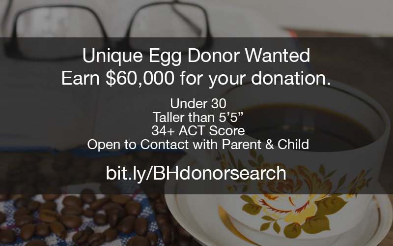 Searching for a Unique High IQ Egg Donor