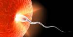 Infertility Treatment - Gamete Intrafallopian Transfer (GIFT)