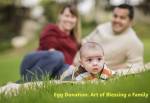 Egg Donation : Art of Blessing a Family